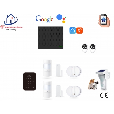 Home-locking wifi Google assistant beveiligingsbox voor alarm detectoren. ST01P set 13